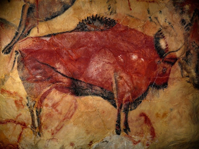 Cave-Painting - Cave of Altamira Bison